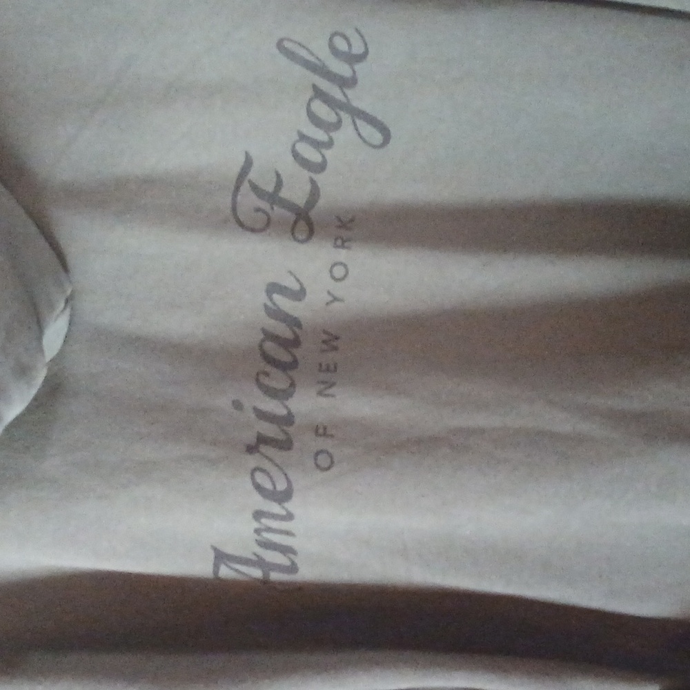 American Eagle Heavyweight Fleece Hoodie